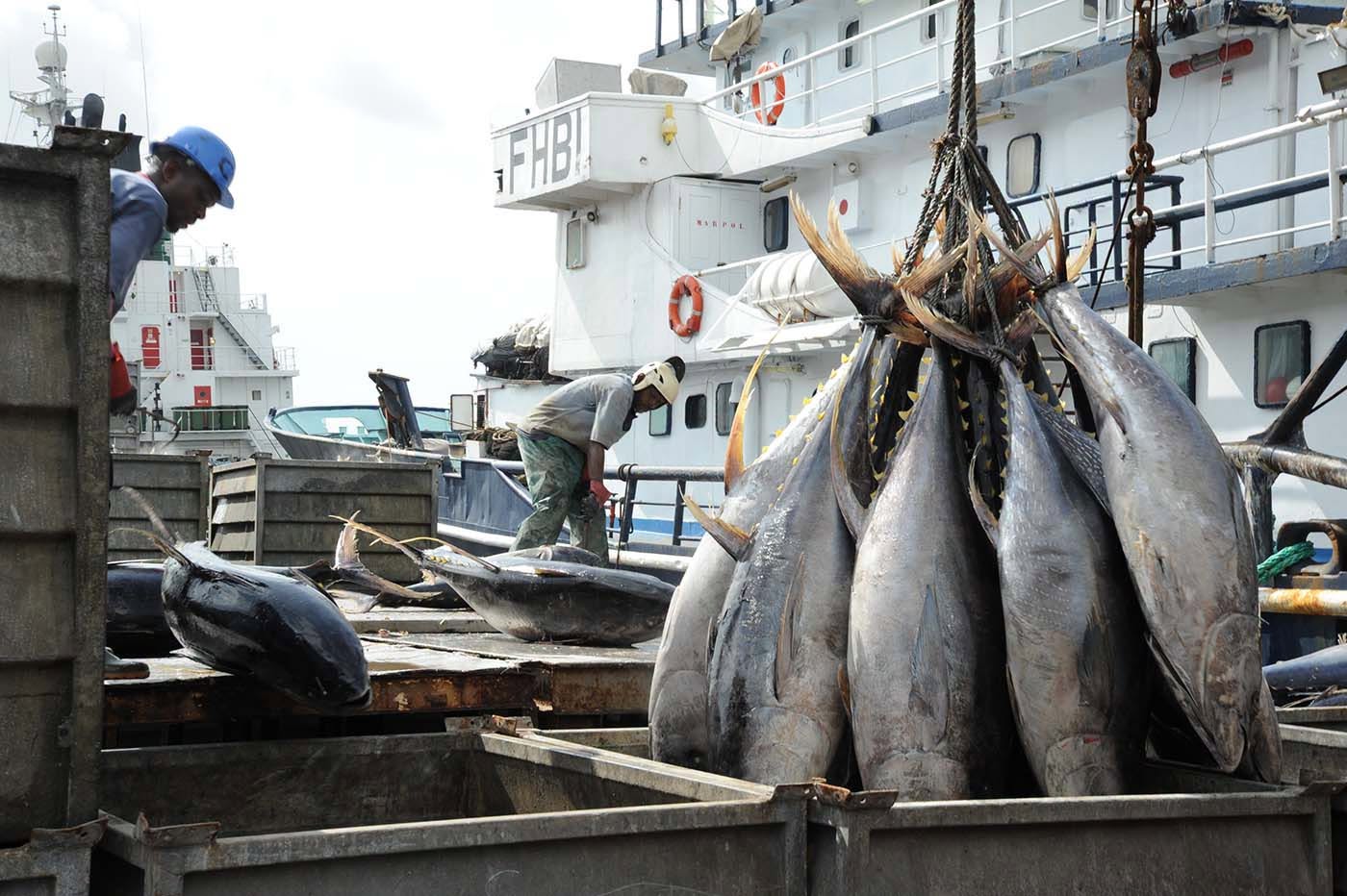 Sidi Tiémoko Touré appelle le secteur privé à renforcer ses investissements dans la pêche