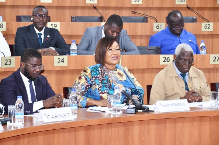 Les députés adoptent à l'unanimité le projet de loi sur l'Économie sociale et solidaire en Côte d'Ivoire