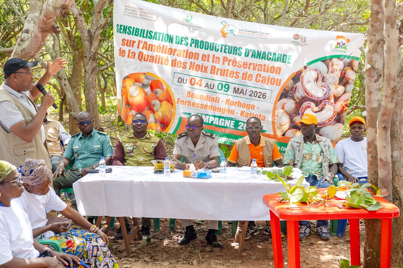 Le Conseil Coton Anacarde Karité sensibilise les producteurs à la qualité des noix pour la campagne anacarde 2026